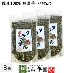 健康茶 国産100% タラの葉茶 無農薬 100g×3袋セット 宮崎県産 送料無料