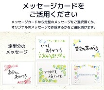 父の日 ギフト 高級お茶漬けセット 4食(お茶漬け専用茶付) 金目鯛 まぐろ 鮭 いわし お中元 誕生日プレゼント 贈り物 内祝い お返し_画像6