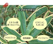 健康茶 熊笹茶 クマザサ茶 100g×6袋セット 国産100% 無農薬 ノンカフェイン 送料無料_画像4