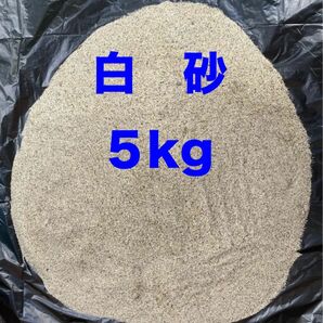 白砂　５kg