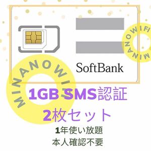 (ゆうパケット)(二枚セット)プリペイドSIMカード 毎月1GB SMS受信可