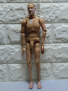 1/6 scale long-term keeping goods No,12 head * hand attaching body element body 