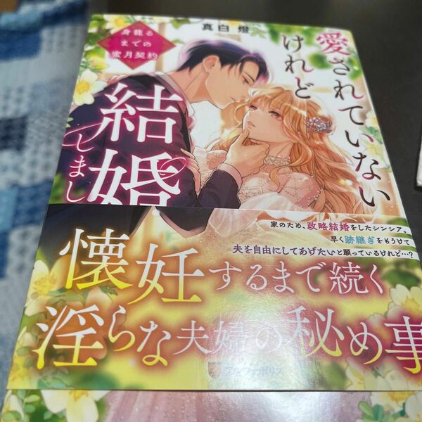 愛されていないけれど結婚しました。　身籠るまでの蜜月契約 （Ｎｏｃｈｅ　ＢＯＯＫＳ） 真白燈／〔著〕