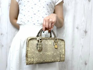 極美品 LOEWE ロエベ リザード アナグラム アマソナ23 ハンドバッグ バッグ ナチュラル 71654