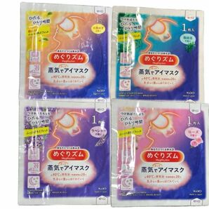 【バラエティセット12枚】めぐりズム 蒸気でホットアイマスク　4種類　3枚ずつ