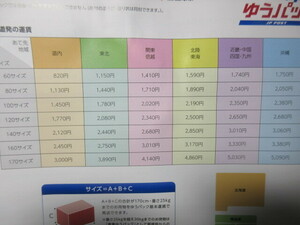 八房白芽杉　斑入り植物・盆栽の　豊樹園　　 必ず取引規約確認同意で入札してください 