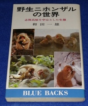 ●●　野生ニホンザルの世界　志賀高原を中心とした生態　昭和54年初版　講談社ブルーバックス　H0４ｓ_画像1