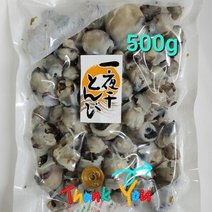 500g 一夜干とんび イカの口ばしの珍味一夜干しトンビ