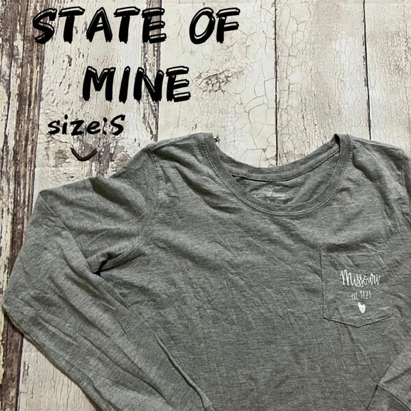 State of nine ロンT グレー プリント メンズ Sサイズ 長袖tシャツ 