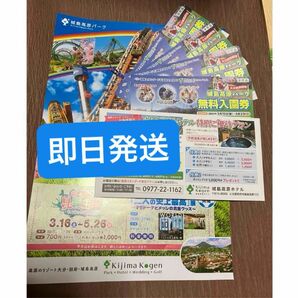 城島高原パーク　無料入園券　4枚