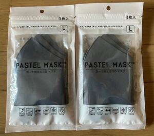 PASTELMASK L チャコール　2袋×3枚　6枚セット　立体マスク 肌に優しい　快適