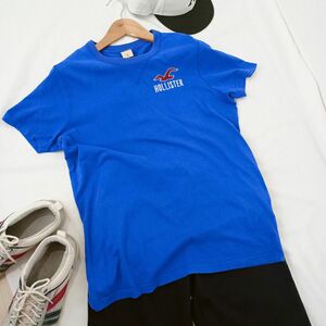 HOLISTER　ホリスター　シンプルTシャツ　カジュアル　アメカジ　Lサイズ　ブルー