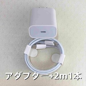 1個 充電器 2m1本 タイプC iPhone 急速 ケーブル ケーブル 本日発送 品質 ライトニングケーブル ケーブ(2sG)