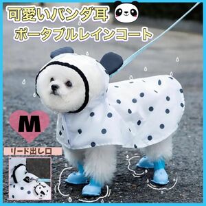 犬レインコート【Mサイズ】小型犬　ドッグ ウェア　パンダ ドット柄　ポンチョ