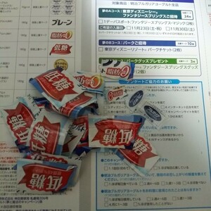 ! prize Meiji BVLGARY a yoghurt application Mark 24 sheets dream . magic. campaign Tokyo Disney si- fantasy springs s