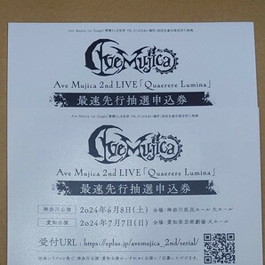 Ave Mujica 2nd LIVE 最速先行抽選申込券 シリアルナンバー 2枚 (Quaerere Lumina/チケット/素晴らしき世界 でも どこにもない場所/MyGO)の画像1