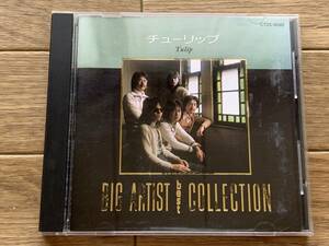 チューリップ　BIG ARTIST　BEST COLLECTION　TULP　ベスト・コレクション　CD/AH