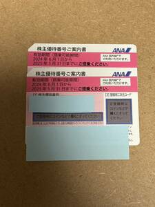 送料無料★ ANA 株主優待券　2枚セット　最新　2025年5月31まで搭乗期限　全日空 