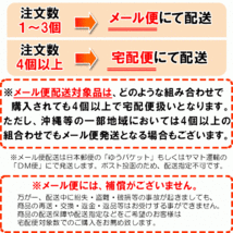 滋賀県産 有機モリンガ茶 2g×30包 オーガニック 国産 メール便 送料無料 セール特売品_画像3