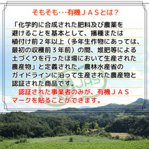 桑の葉パウダー 100g 桑の葉青汁 桑の葉茶 粉末 有機栽培 オーガニック 京都府産 国産 送料無料_画像7