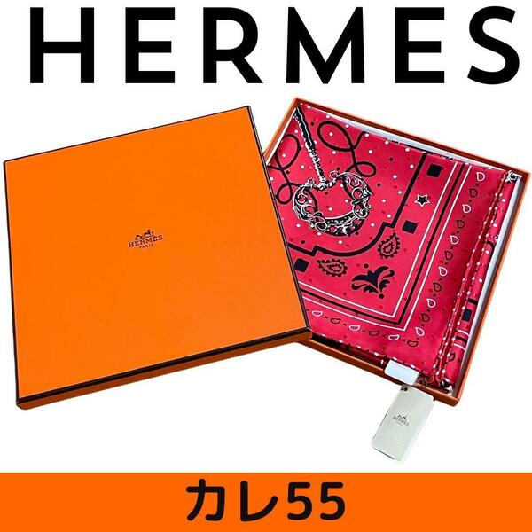 【新品未使用】エルメス HERMES スカーフ カレ55 レクレ　フリュムティ