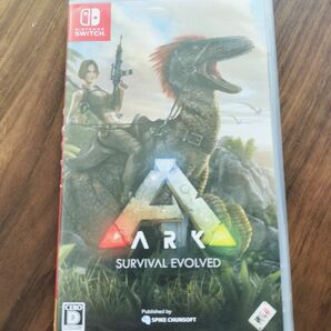 ARK Switch