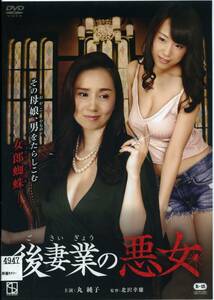 ★後妻業の悪女★丸純子/長瀬麻美（DVD・レンタル版）