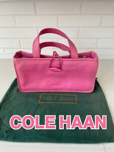 コールハーン COLE HAAN レザー ピンク ミニ ハンドバッグ トートバッグ 保存袋付　可愛い