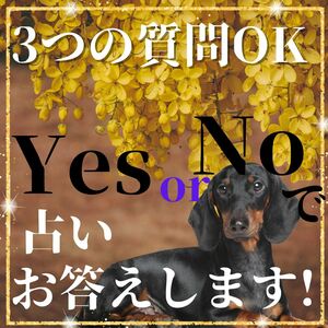 YES/NO判断 恋愛に関する様々な状況、例えば片思い、不倫、復縁、