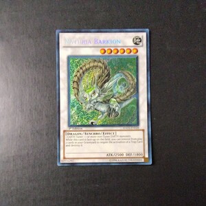 遊戯王　NATURIA BARKION