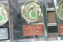 '99 モトチャンプ杯 東日本ミニバイクレース選手権　盾 [4e14]_画像6