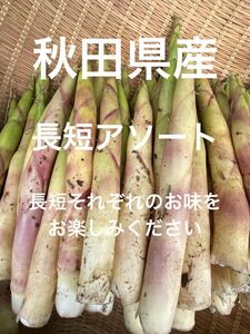  Akita префектура производство . бамбук корень изгиб бамбук натуральный дикоросы примерно 900g 5/19 отправка предположительно кошка pohs отправка 