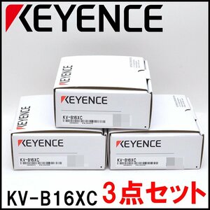 新品 キーエンス ネジ端子台 KV-B16XC 入力ユニット 入力点数16点 脱着式端子台 Keyence