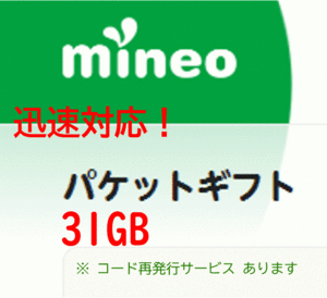 mineo マイネオ パケットギフト 約31GB ③