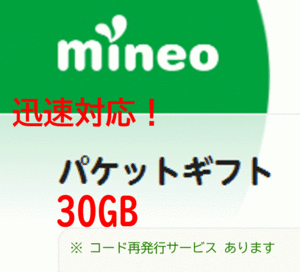 mineo マイネオ パケットギフト 約30GB ①