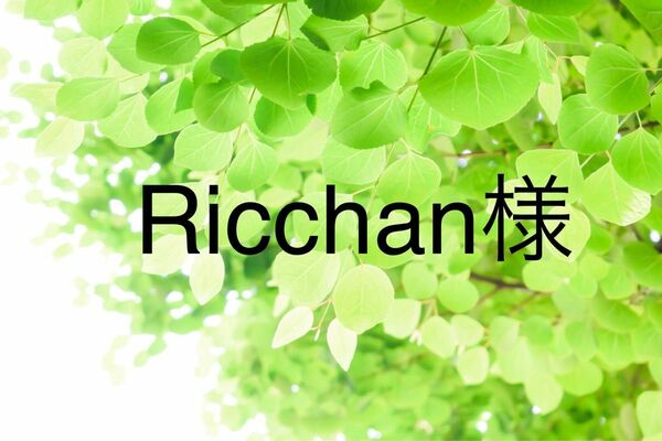 Ricchan様　おまとめ　手染めビーズ