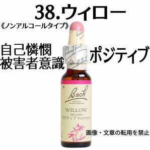 38.ウイロー (10ml) ノンアルコールフラワーエッセンス　植物グリセリンベース NelsonBach社