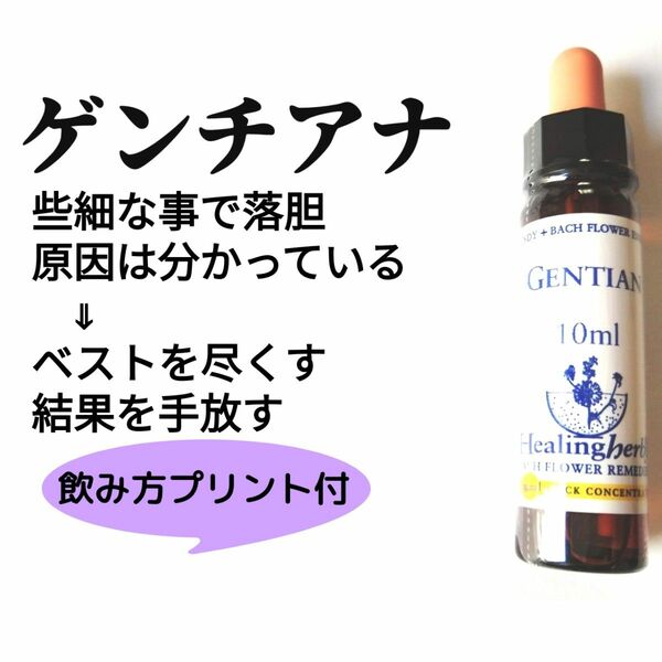 12.ゲンチアナ《10ml》バッチフラワーエッセンス ヒーリングハーブス社