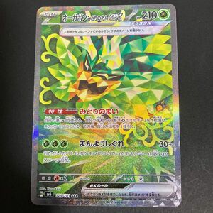 ポケモンカード　オーガポンみどりのめんex SAR 硬質スリーブ付き