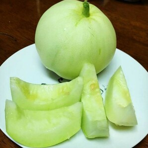 ユニーク野菜 固定種 ニューメロン 種(タネ)50粒の画像1