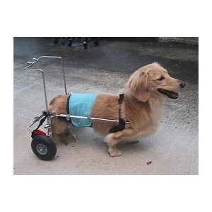 ヤマペットの小形犬用車椅子：レンタル・車いす・車イス・リハビリ・中古車