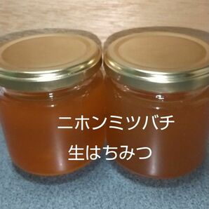 日本ミツバチの生はちみつ