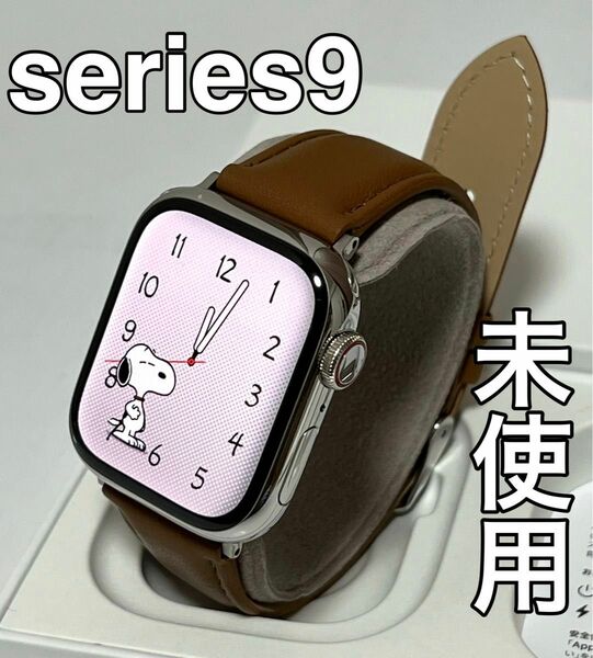 Apple Watch series9 ステンレスモデル