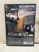 【ウルフ・タウン】洋画DVD《映画DVD》（DVDソフト）送料全国一律180円《激安！！》_画像2