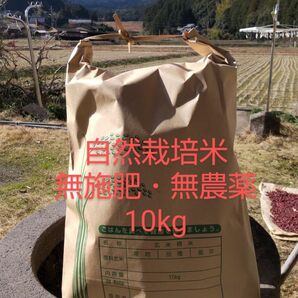 無施肥無農薬栽培米・MOA自然農法認証済・ヒノヒカリ玄米10kg・精米可
