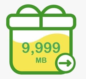 mineo パケットギフト　10GB マイネオ 安心の迅速対応 