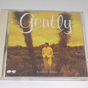 田原俊彦 / gently（ジェントリー）