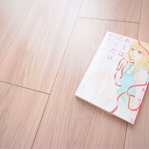 【2冊買い値引可】あとは泣くだけ(集英社文庫)—加藤千恵