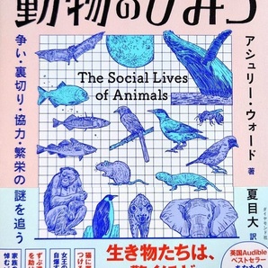 ウォード博士の驚異の「動物行動学入門」 動物のひみつ 争い・裏切り・協力・繁栄の謎を追う
