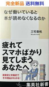 なぜ働いていると本が読めなくなるのか (集英社新書)